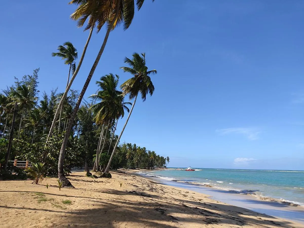 Apartment With Pool & Garden In Beach Area Las Terrenas